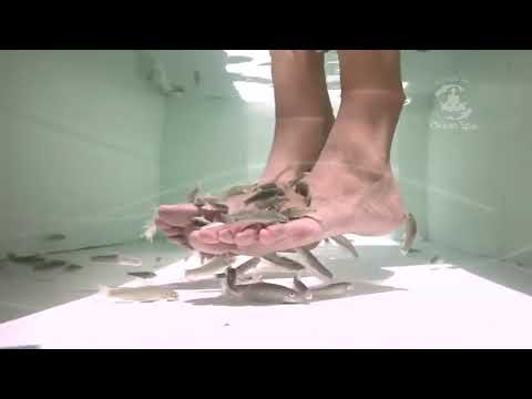 Dr. Fish Ocean Spa in Punta Cana