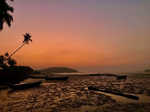 SUNBURN GOA 2019   HD 1080p