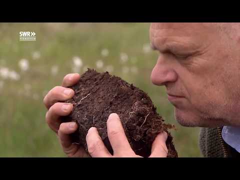 England - Auf Schottlands Whisky Routen - deutsch