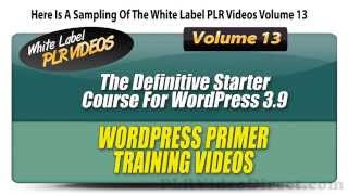 WordPress Primer - White Label PLR Videos Volume 13