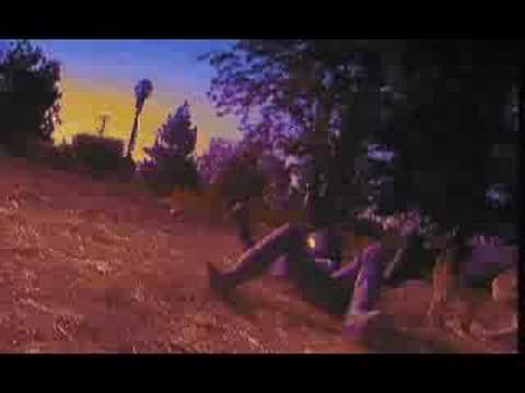 Road Rash - Busted Video 4