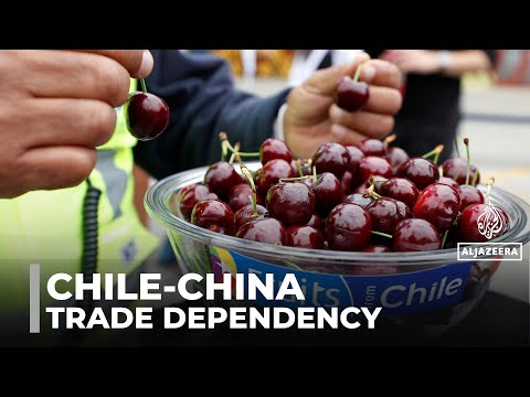 Chile-China ties: Once-pioneering relationship turns into dependency
