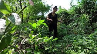 Camping bertahan hidup di hutan Wanita cantik (Bushcraft/survival woman)