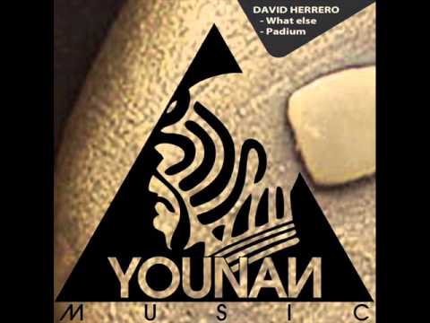 David Herrero - What Else (Original Mix)