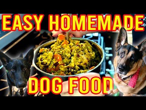Homemade Dog Food on a Budget (Vegan Plant-Based)