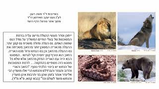 דף יומי מסכת סנהדרין דף צח Daf yomi Masechet Sanhedrin page 98  ע"י יוני גוטמן (שיעורי הדף היומי ב-20 דקות – מועבר ע"י ר' יוני גוטמן – לעילוי נשמת אביו ר' אלימלך צבי (צביקה) גוטמן ז"ל) - התמונה מוצגת ישירות מתוך אתר האינטרנט יוטיוב. זכויות היוצרים בתמונה שייכות ליוצרה. קישור קרדיט למקור התוכן נמצא בתוך דף הסרטון