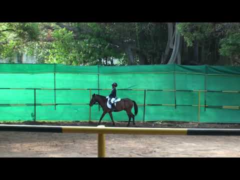 2019 7IQ 72 S CEC Tejesh Achin Chocolate EQB2