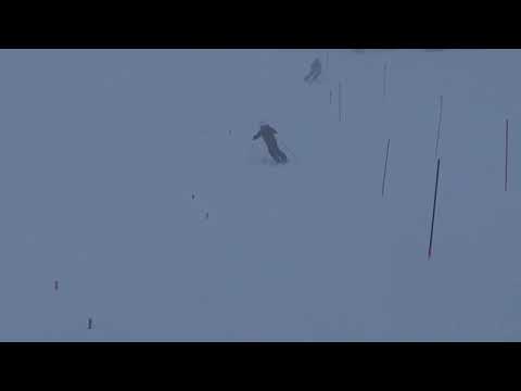 Kaidyn- SL brushes 12/14/18