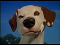Nickelodeon Movies Logo Dog 2019