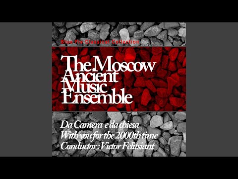 Concerto For Flute, Oboe, Violin, Bassoon & Basso Continuo In C Major, RV 88: II. Largo cantabile