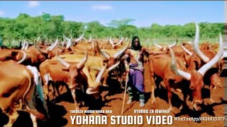 JIMINOGENI DOTO MDENDELA MISOGA NGWANA YOHANA Official Audio msambazaji yohana studio Video 2026