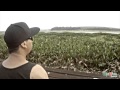 MANEVA - DAQUELE JEITO ( Ukulele ao vivo ...