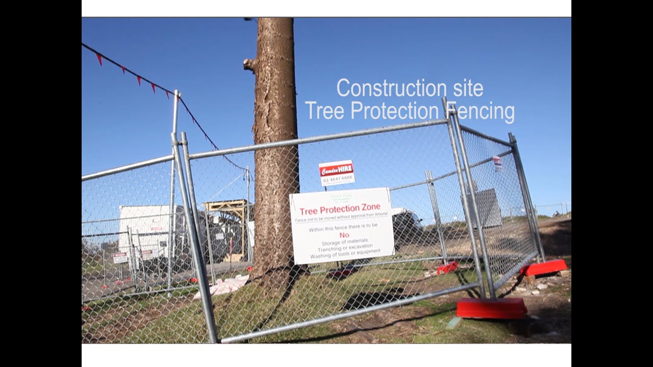 MooreTrees, Tree Protection Fencing, Film #2