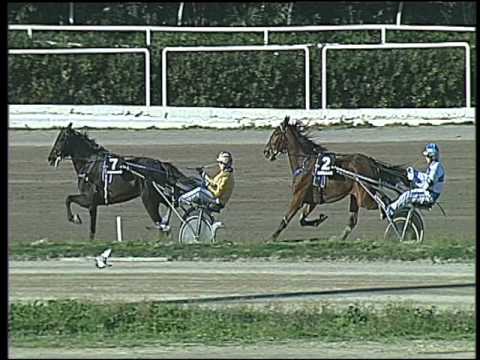 Trotto 04/03/2016 - 3° corsa