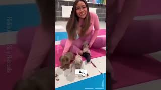 Which clip had you cracking up the most? Drop your pick 🎬🤣 #funnyanimals