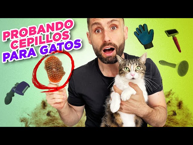 Vídeo relacionado con Manoplas Quita Pelos para Mascotas, Perros y Gatos de Pelo Corto o Largo