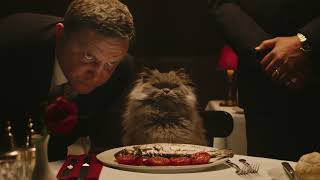 Temptations the cat that rules