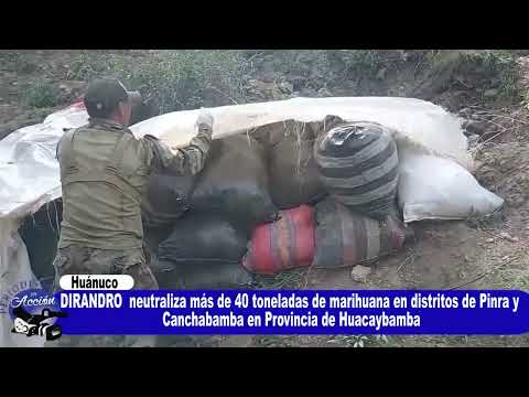  #PINRA – #HUÁCAYBAMBA – #HUÁNUCO: MEGAOPERATIVO POLICIAL NEUTRALIZA MÁS DE 40 TONELADAS DE DROG∆ 