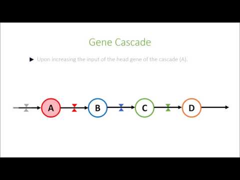 Gene Circuits 1