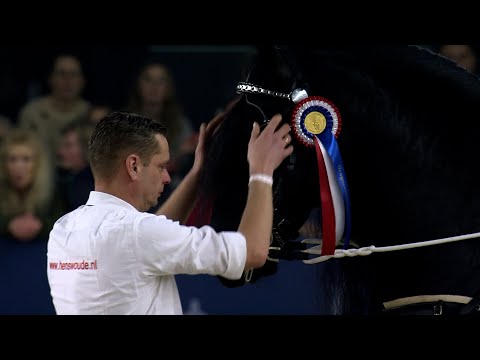 HK 2023 | Silver Bowl &amp; Paard van het jaar 2022