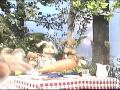 Muppet Sing Alongs Billy Bunny S Animal Songs Music Montage Part 3