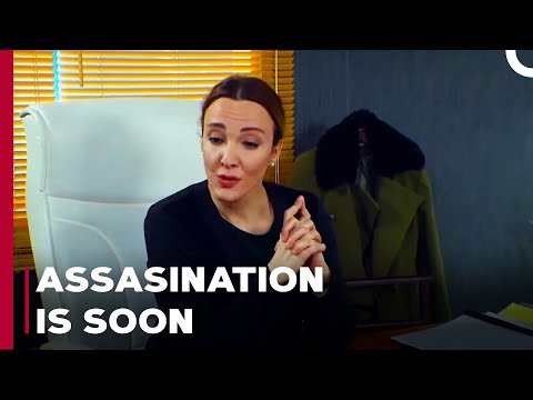 Plan To Murder Julide - Can't Stop Loving You