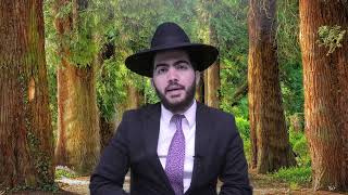 תחילת הלכות עירובין, הגדרת רשות היחיד | הרב יצחק מאזוז | סימן שמה \א-ג