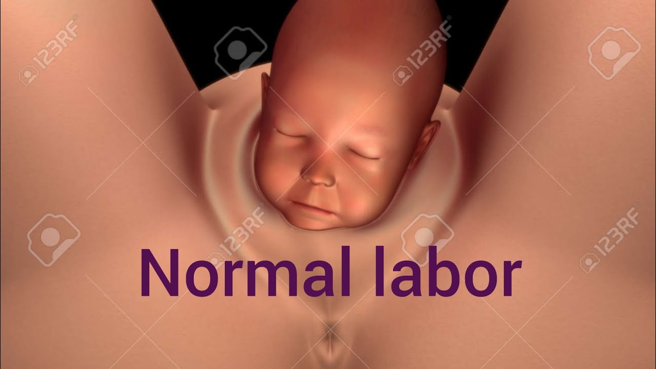 Normal labor  full PDF notes.   #part 1 labor. #labor #notes #normal #female #pregnancy #obgyn