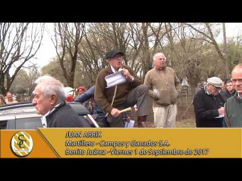 1-09-17 Nota Juan Arrix . - La Gloria - Flores Chicas - B. Juarez