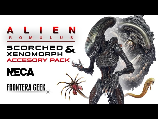 Vídeo relacionado con Funko Pop! Super: Alien: Romulus - Scorched Xenomorph - Figura de Vinilo Coleccionable - Idea de Regalo- Mercancia Oficial - Juguetes para Niños y Adultos - Movies Fans - Muñeco para Coleccionistas