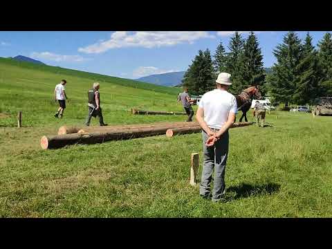 Žaškov 2023. Súťaž ťažných koní. Obdivu hodné výkony.