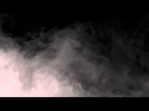 Back To The Paper - Savage Dude ( Official Video )