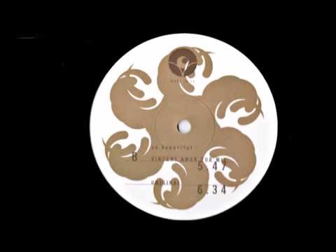 DJ MFR ft. AmesEla - So Beautiful (Vincent Kwok Dub Mix)