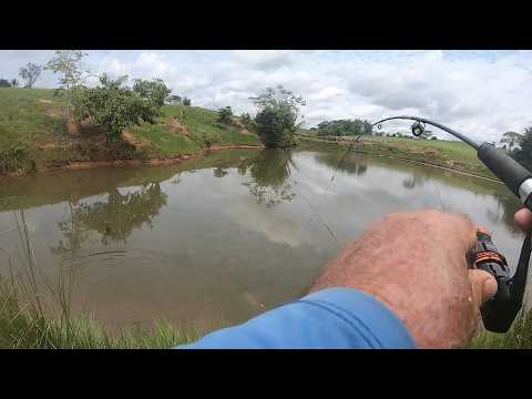 Engoliu o Anzol, Vale do Paraíso, Rondonia!!! - T05 Ep69. #pesca #pescaria #pescaesportiva