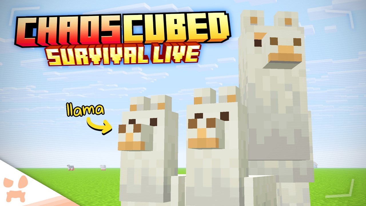 CHAOS CUBED LLAMA STREAM In Minecraft Survival