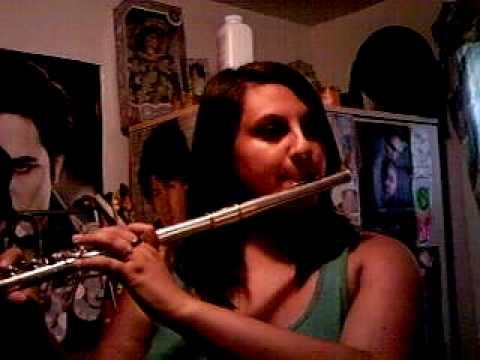 me playing sugar we're going down by fall out boy on the flute.