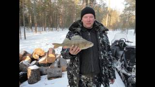 Отчет о рыбалке ханты мансийск