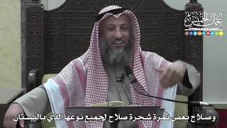 1408 - وصلاح بعض ثمرة شجرة صلاح لجميع نوعها الذي بالبستان - عثمان الخميس