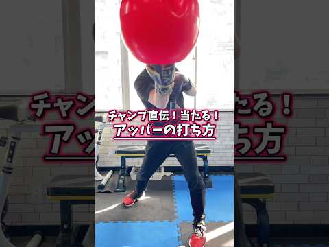 チャンプ直伝！当たる！アッパーの打ち方解説します #ボクシング #キックボクシング #格闘技