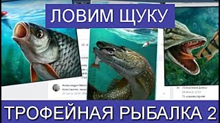 Ссылка
