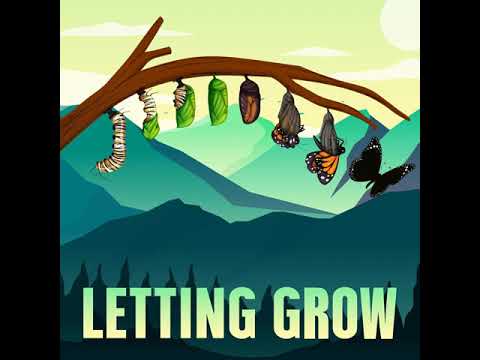 Simon Cox on the Buddhist subtle body