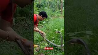 Download lagu KING KOBRA gak punya harga diri wkwkwk. @PANJIPETUALANG_REAL #shorts #short mp3 Download lagu KING KOBRA gak punya harga diri wkwkwk. @PANJIPETUALANG_REAL #shorts #short mp3