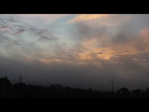 Djuma: Morning sky and then Birds flying to tree tops - 05:03 - 01/03/22