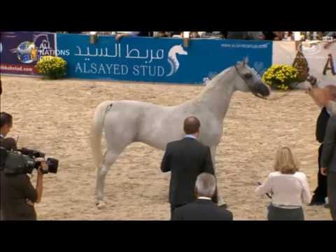 Emmona All Nations Cup Aachen 2016