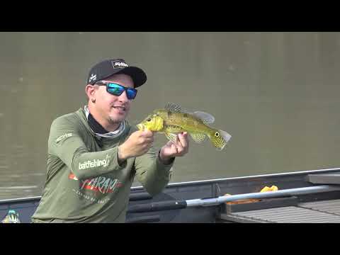 Ep 31 Pescaria na represa em Itueta MG