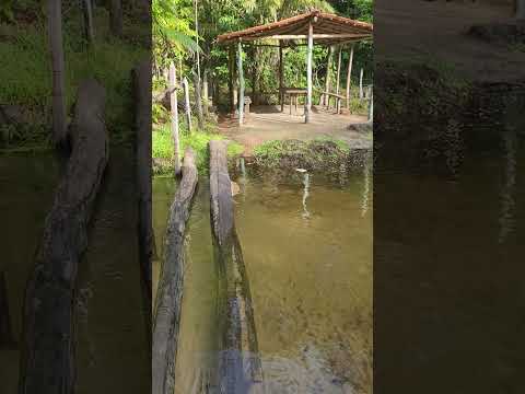 Águas claras em morros Ma #rios #natureza #paz #roça #coisas do interior