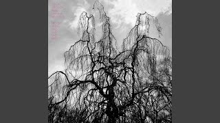 The Sun Roars Into View