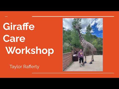 KEEPER SERIES: Giraffe Care Workshop Presentation (TR/RPZ)