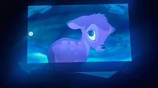 Shadow and Bambi Explained about their Past