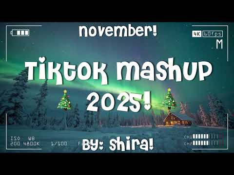 TikTok Mashup 2025!🎄